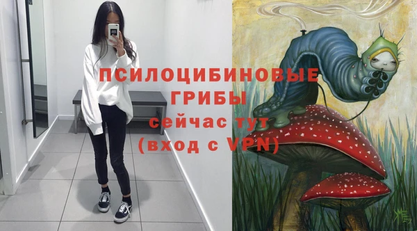 хмурый Абинск