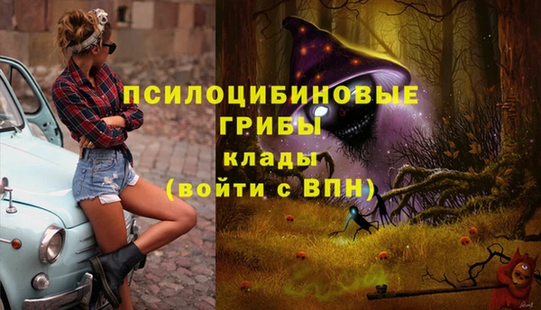 хмурый Абинск