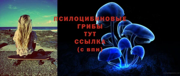 хмурый Абинск
