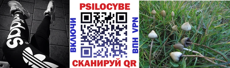 Галлюциногенные грибы мухоморы  Нижний Новгород 